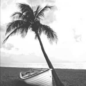 Meet your Posher, Jos